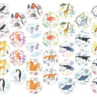 Wildlife Memo – gra memory dla dzieci (dzika przyroda)