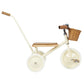 Rowerek trójkołowy Trike